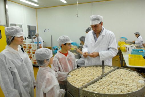 ARDECHE Fabrication des marrons glacés chez Sabaton, à Aubenas