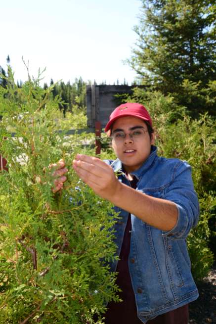 QUEBEC - Val d'Or Site culturel Kinawit Jeune autochtone expliquant les usages des plantes